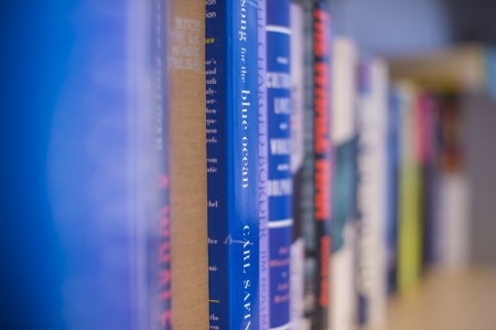 A shelf holding numerous books of different colours and sizes